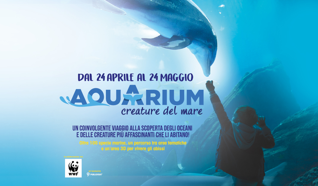 1072x630_aquarium_le-cotoniere