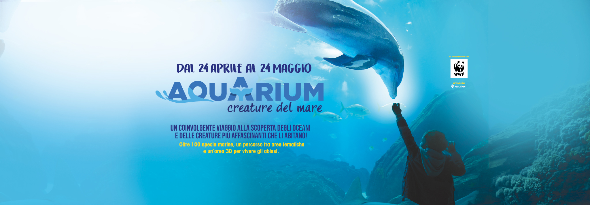 Al momento stai visualizzando Aquarium